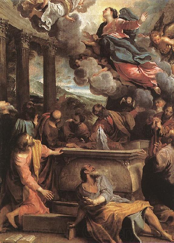 CARRACCI, Annibale Assumption of the Virgin sdf Spain oil painting art